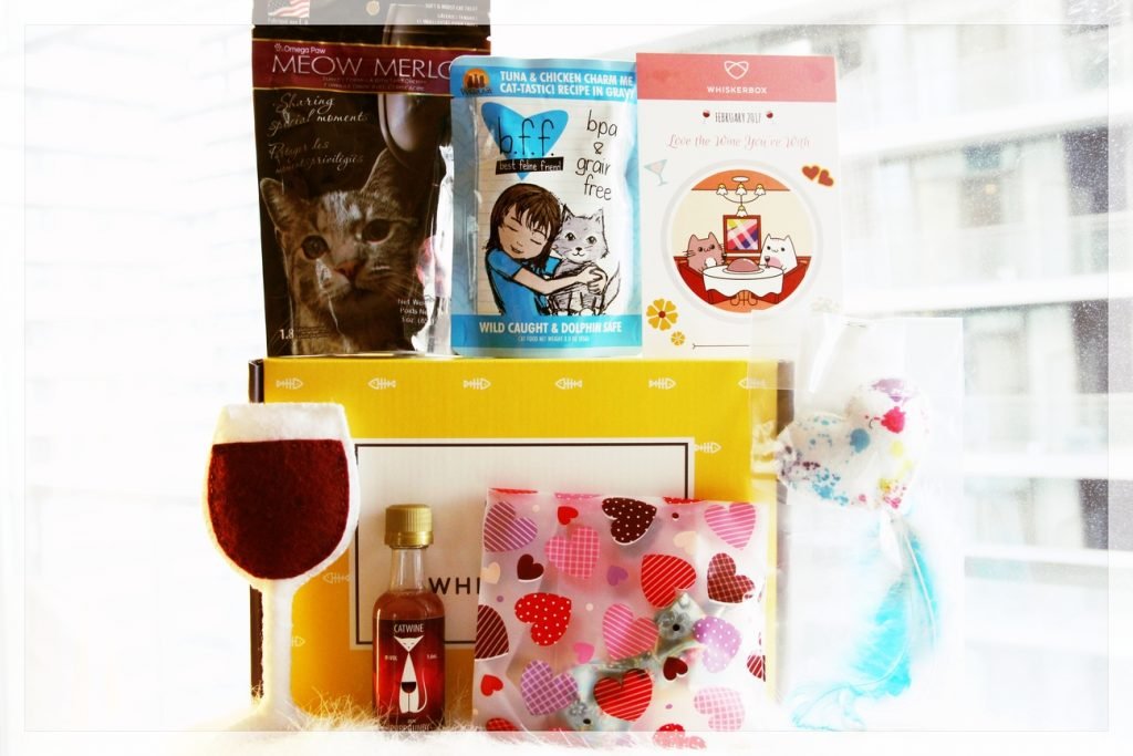 February 2017 WhiskerBox Meow Cat Box